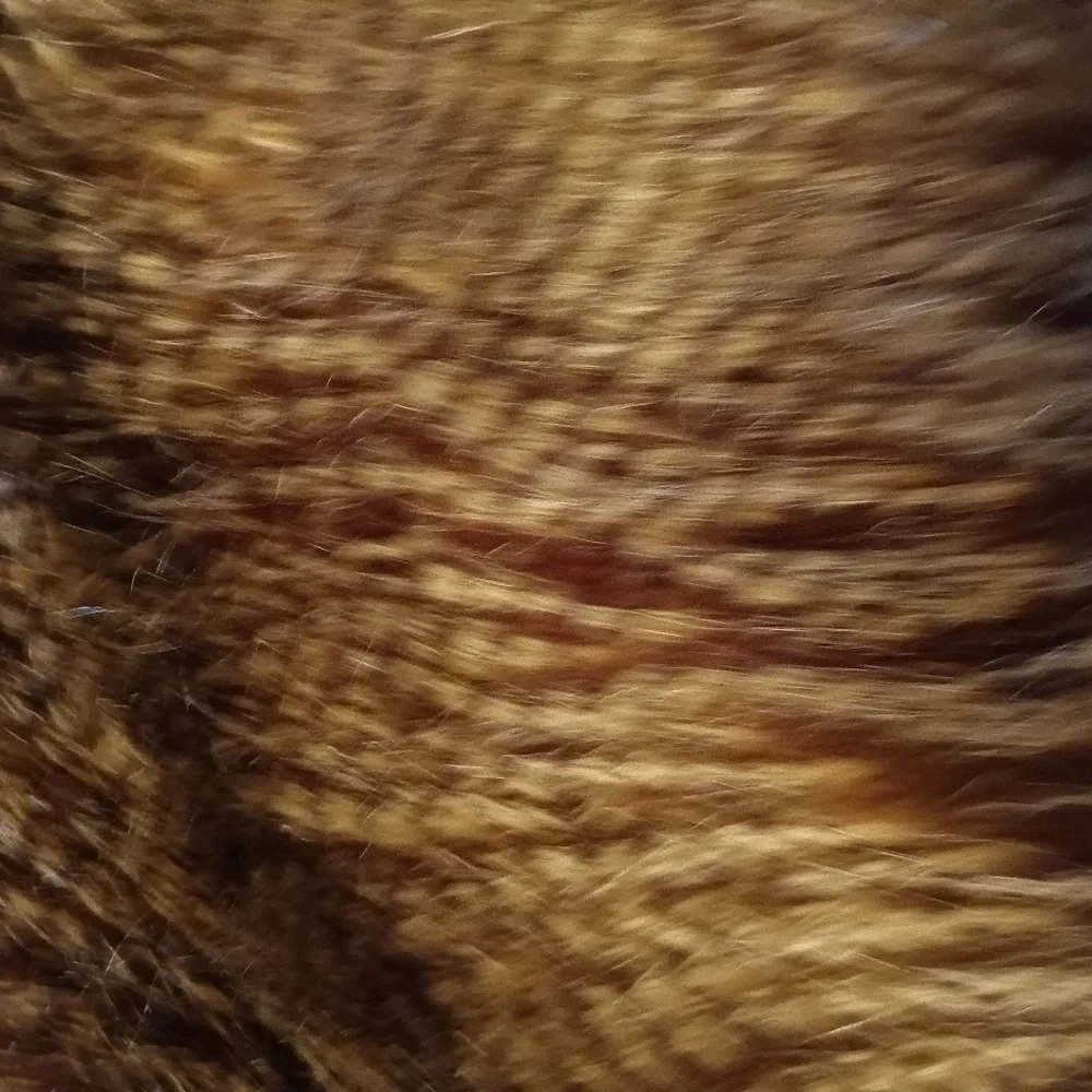 Williams-Sonoma Home Brown Owl Faux Feather Throw Blanket